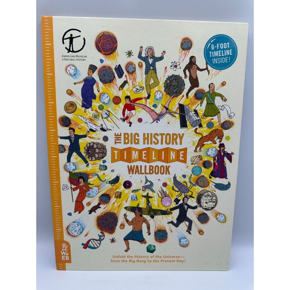 The Big History Timeline Wallbook Lloyd Forshaw 2017 Paperback History Pre-Owned